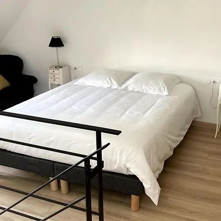 Bed & Breakfast Pres De La Fleche, Adaptee Pmr, Animaux Admis, Petit-dejeuner Inclus - Fr-1-410-475 *