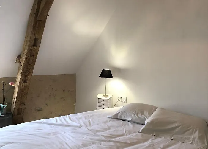 Pres De La Fleche, Adaptee Pmr, Animaux Admis, Petit-dejeuner Inclus - Fr-1-410-475 * Cre-sur-Loir