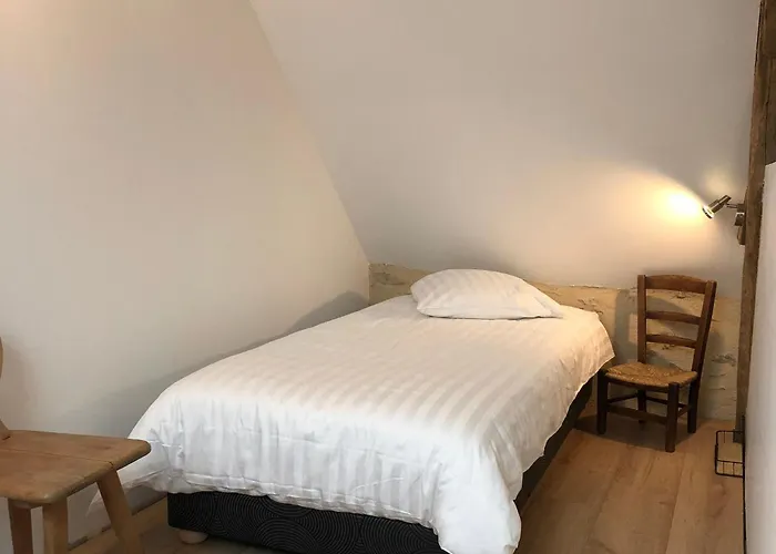 Bed & Breakfast Pres De La Fleche, Adaptee Pmr, Animaux Admis, Petit-dejeuner Inclus - Fr-1-410-475 *